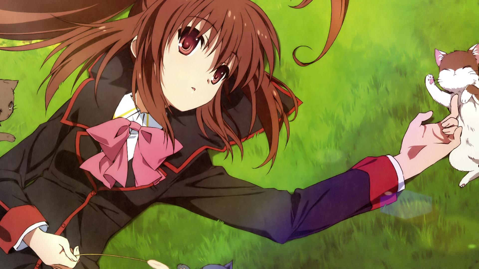 Little busters steam фото 11